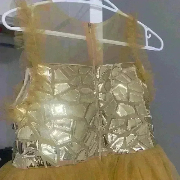 Gold princess  dress - Picture 5 of 6
